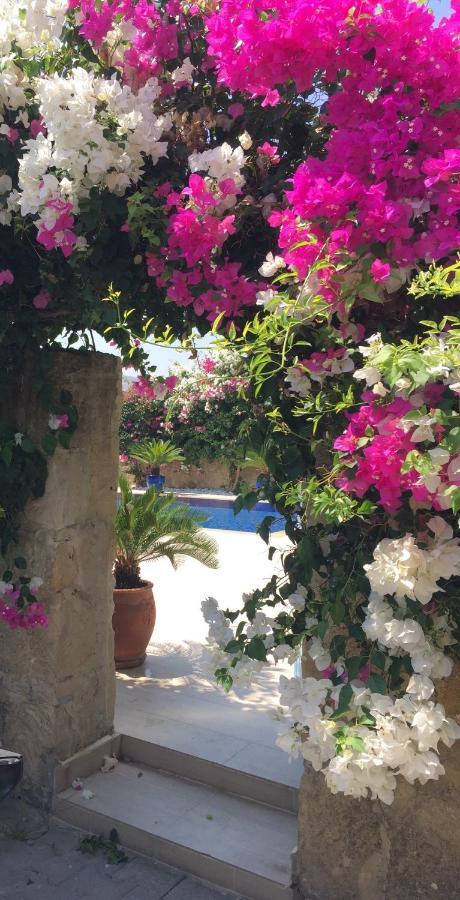 Вилла Casa Santos Kyrenia Кирения Экстерьер фото